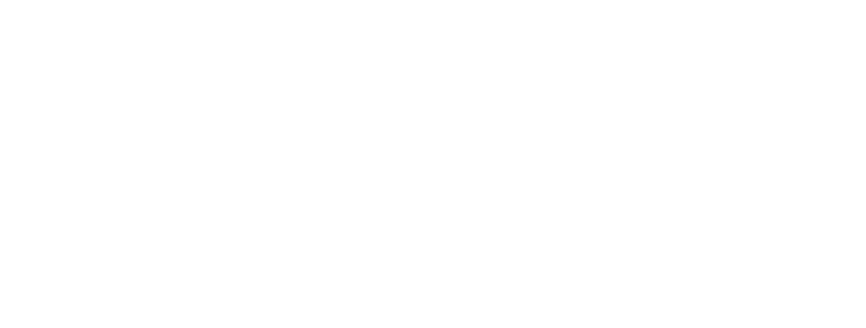 Star Guitars logo white